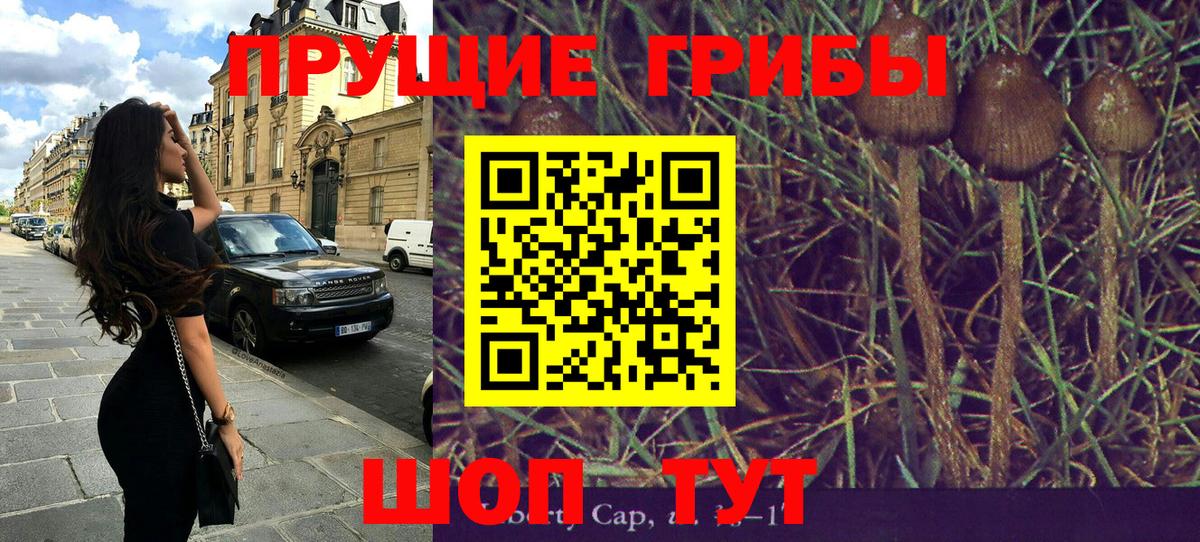 Новодвинск  Галлюциногенные грибы Cubensis  Вход с VPN 